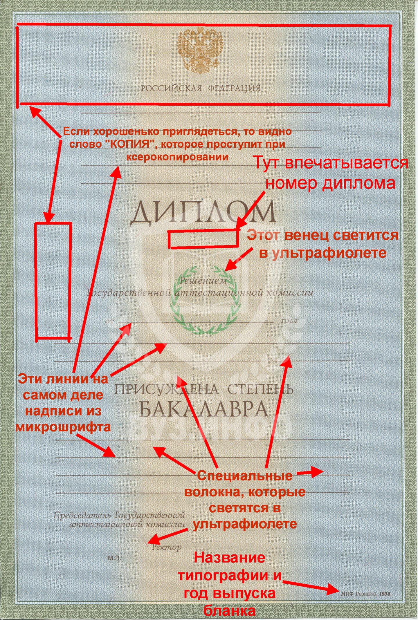 Степени защиты диплома бакалавра 1996-2002 гг.